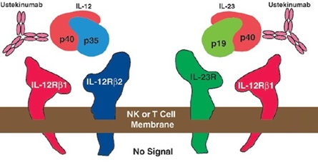 ustekinumab